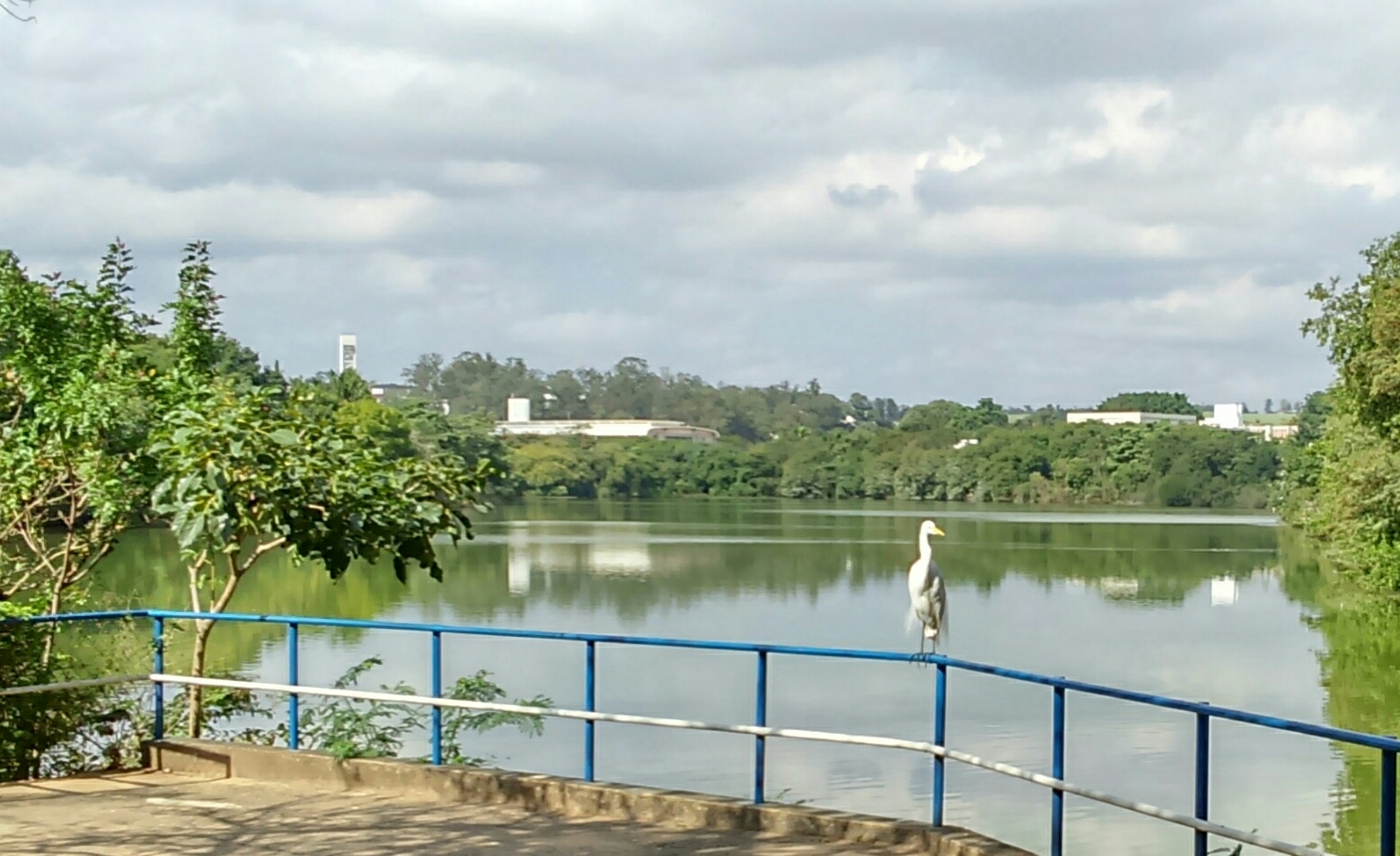 Parque Ecológico Hermógenes Leitão Filho